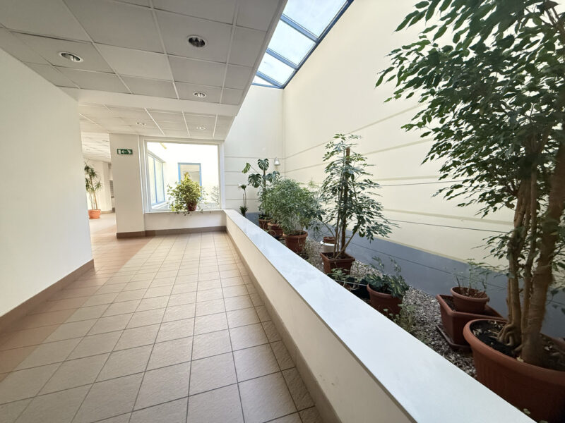 Komfortowy apartament przy Pl.Batorego z garażem
