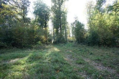 Działki nad jeziorem Dobra Nowogardzka