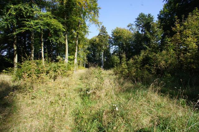 Działki nad jeziorem Dobra Nowogardzka