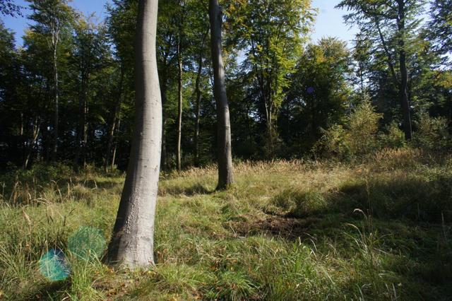 Działki nad jeziorem Dobra Nowogardzka
