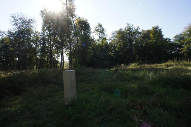Działki nad jeziorem Dobra Nowogardzka
