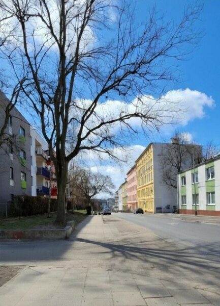 Lokale biurowe 17,5 m²| 1200 zł + VAT | Bez opłat!