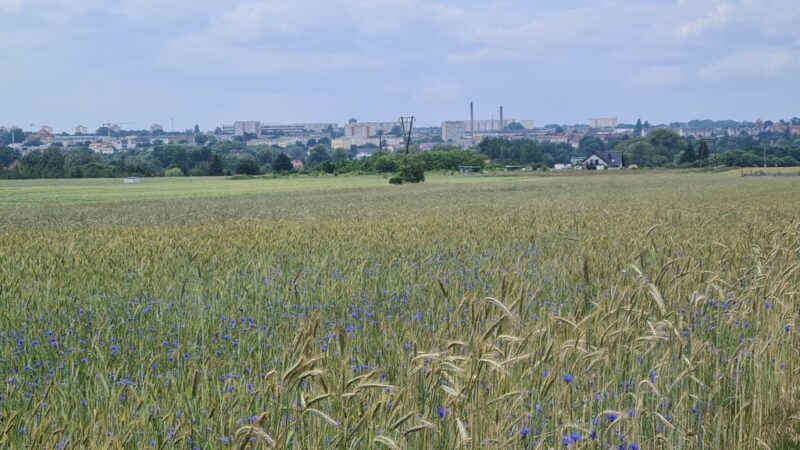 Działki Budowlane Stargard