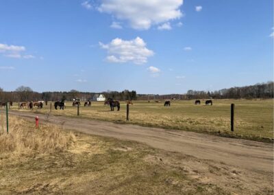 Działka 1506 m2 Białuń, ul. Jarzębinowa - MPZP
