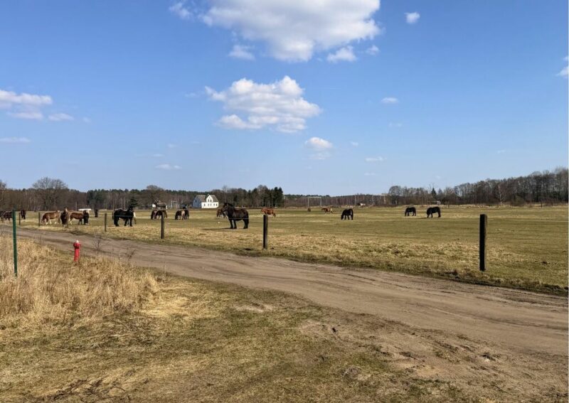 Działka 1506 m2 Białuń, ul. Jarzębinowa - MPZP