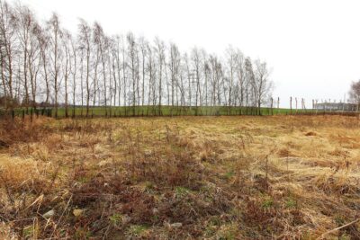 Działki budowlane nad Bałtykiem-Lędzin k. Niechrza