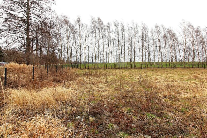 Działki budowlane nad Bałtykiem-Lędzin k. Niechrza