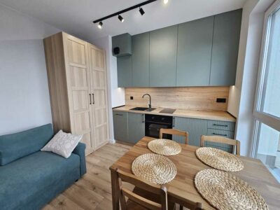 Mieszkanie typu "studio" garaż, taras, winda