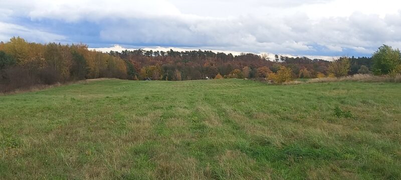 Steklno - działka budowlana z warunkami zabudowy