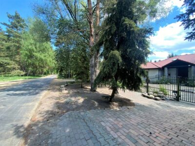 Wielgowo, Dom parterowy, duża działka