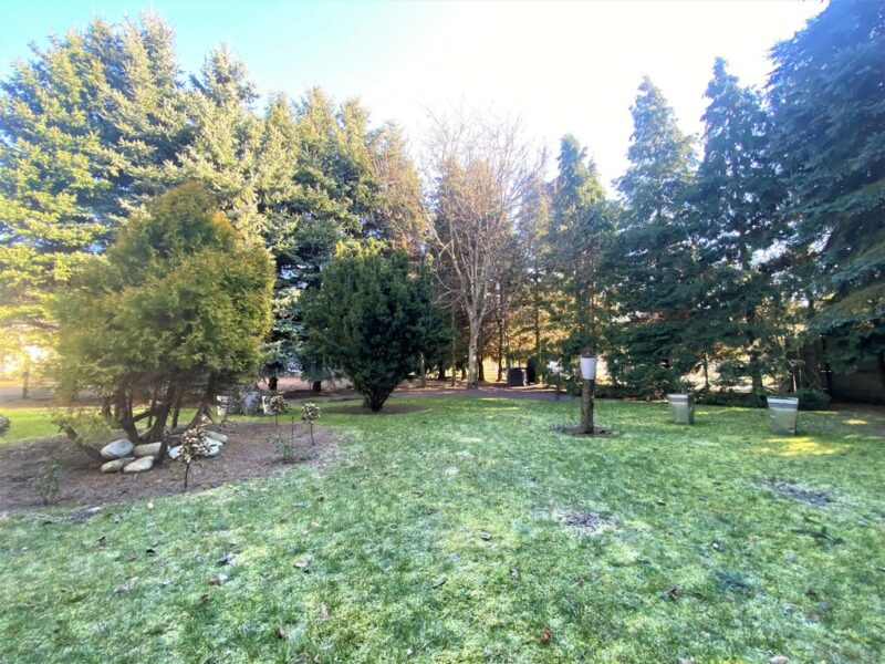 Wielgowo, Dom parterowy, duża działka