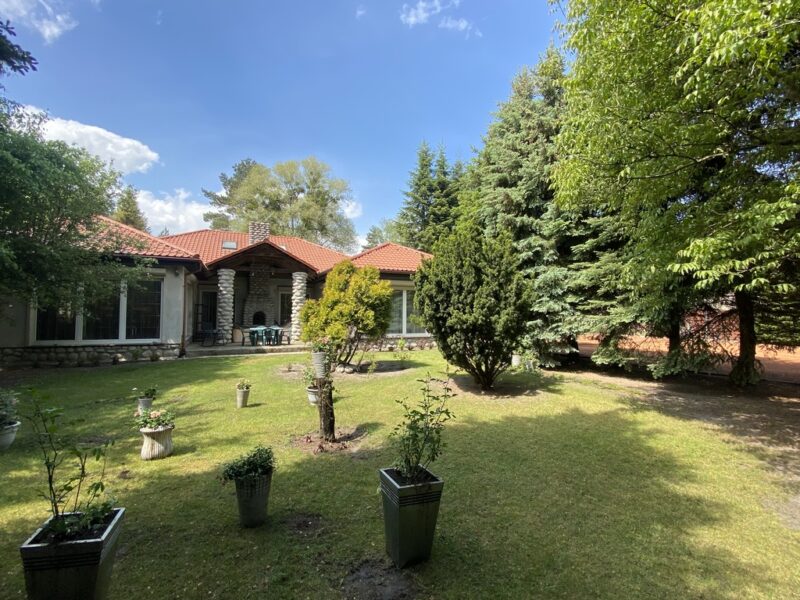 Wielgowo, Dom parterowy, duża działka