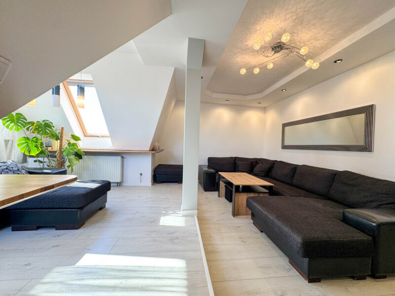 3 duże słoneczne pokoje centrum park urząd