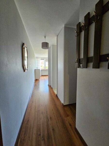 Kawalerka z widokiem na Hanza Tower
