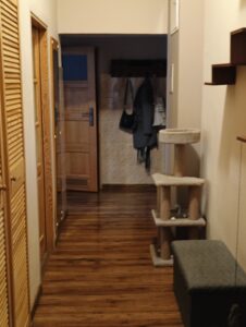 Atrakcyjne mieszkanie w centrum – 2 pokoje, balkon