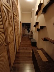 Atrakcyjne mieszkanie w centrum – 2 pokoje, balkon