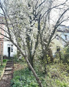 Dla miłośników Pogodna