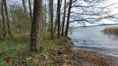 Działka budowlana - nad jeziorem Miedwie