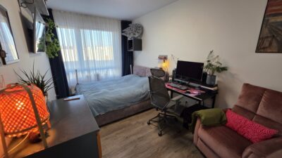 3 pok. Apartament Ornament