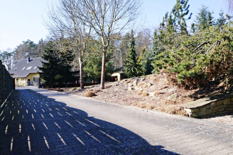 Dom 240m2 2 mieszkania plus budynek usługowy