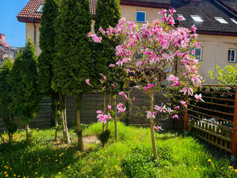 Bezrzecze -3 pok.+ ogród +garaż !!!