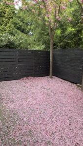 Komfortowy Apartament 4 Pokoje, Ogród i Taras