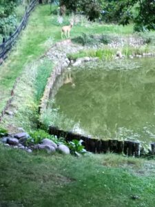Domek letniskowy w Parlinie