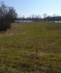 Działka z linią brzegową w miejscowości Kaszewo.