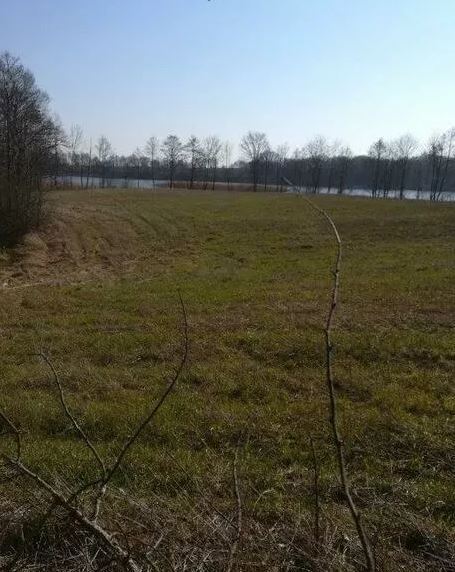 Działka z linią brzegową w miejscowości Kaszewo.