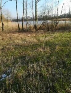 Działka z linią brzegową w miejscowości Kaszewo.