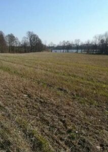 Działka z linią brzegową w miejscowości Kaszewo.