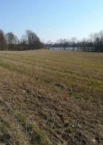 Działka z linią brzegową w miejscowości Kaszewo.