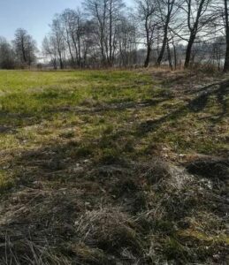 Działka z linią brzegową w miejscowości Kaszewo.