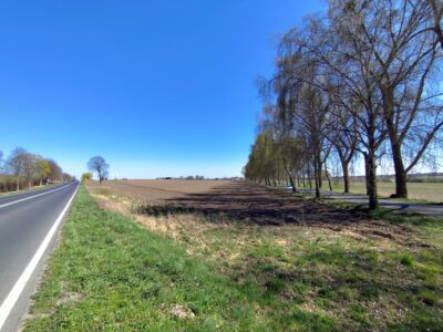 6 ha przy S6 -do podziału, ile m2 potrzebujesz?
