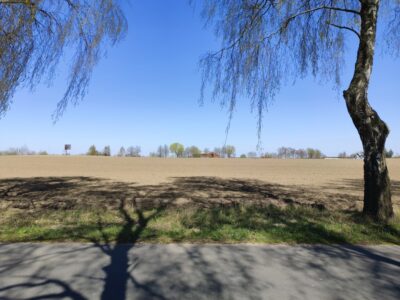 6 ha przy S6 -do podziału, ile m2 potrzebujesz?