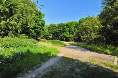 Jasne Błonia, Rusałka, Manhattan, niskie rachunki