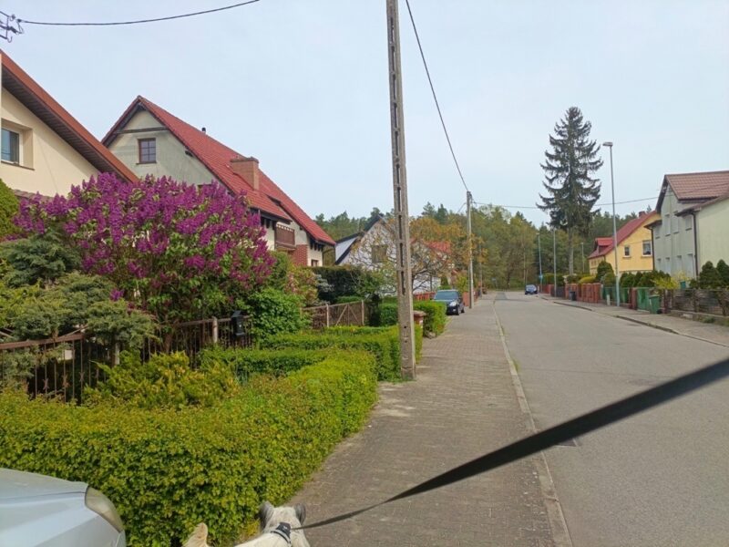 Wynajem. wyjątkowe 4 pok, Kijewo, przy lesie