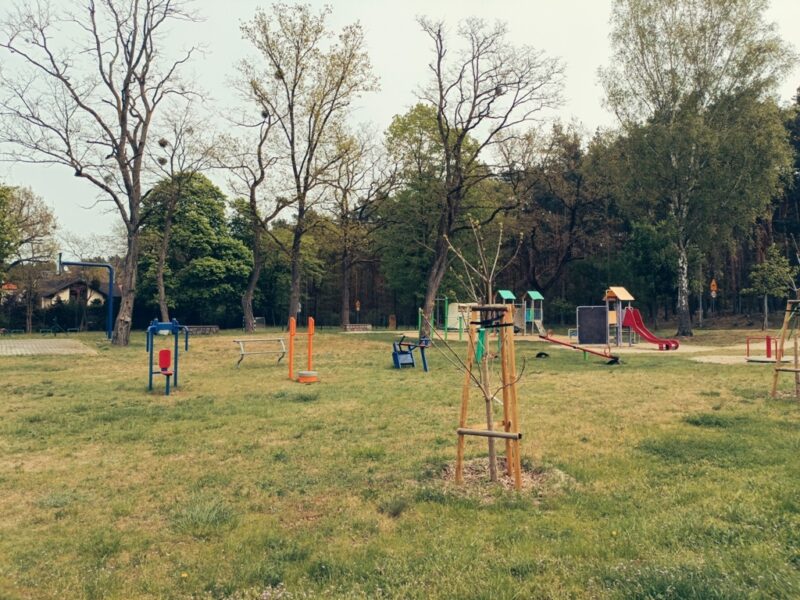Wynajem. wyjątkowe 4 pok, Kijewo, przy lesie