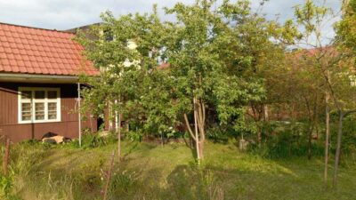 420 m2 ROD Dolinka