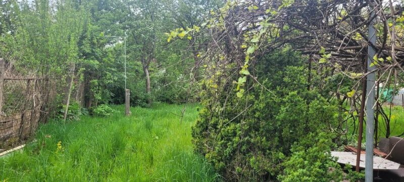 420 m2 ROD Dolinka