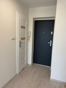 Śródmieście, kawalerka po remoncie z 27m2