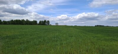Bagna | 5455 m² | Warunki na 13 domów