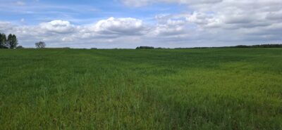 Bagna | 5455 m² | Warunki na 13 domów