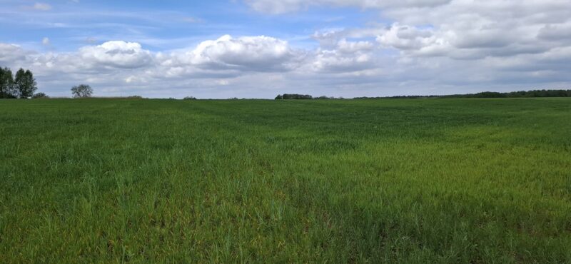 Bagna | 5455 m² | Warunki na 13 domów