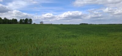 Bagna | 5455 m² | Warunki na 13 domów