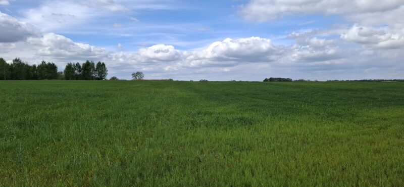 Bagna | 5455 m² | Warunki na 13 domów