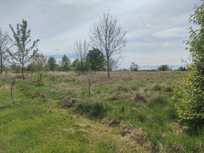 Lędzin działka budowlana na sprzedaż 1394m2