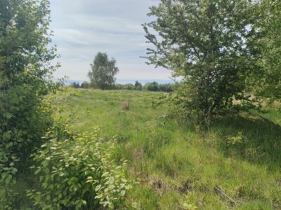 Lędzin działka budowlana na sprzedaż 1394m2