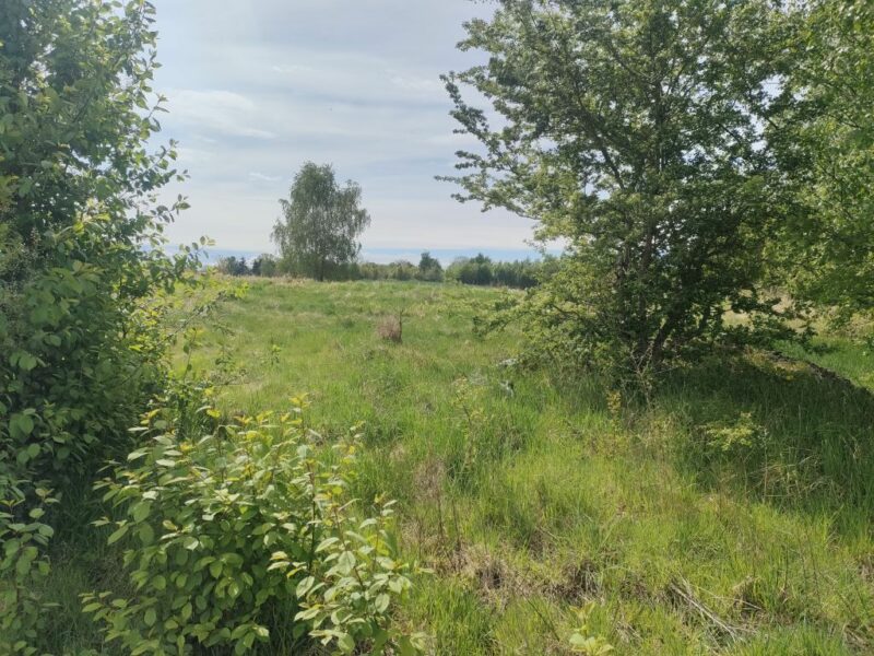 Lędzin działka budowlana na sprzedaż 1394m2