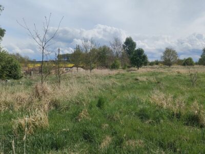 Lędzin działka budowlana na sprzedaż 1394m2